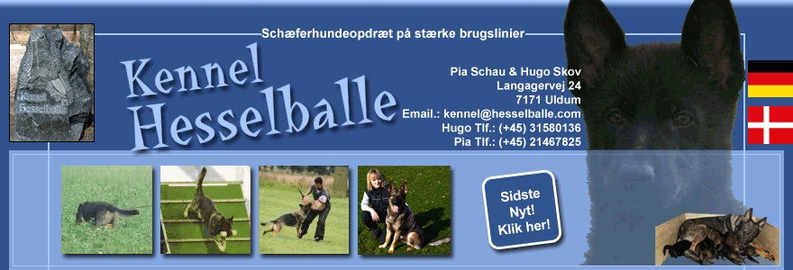 Hesselballe - Schæferhundeopdræt